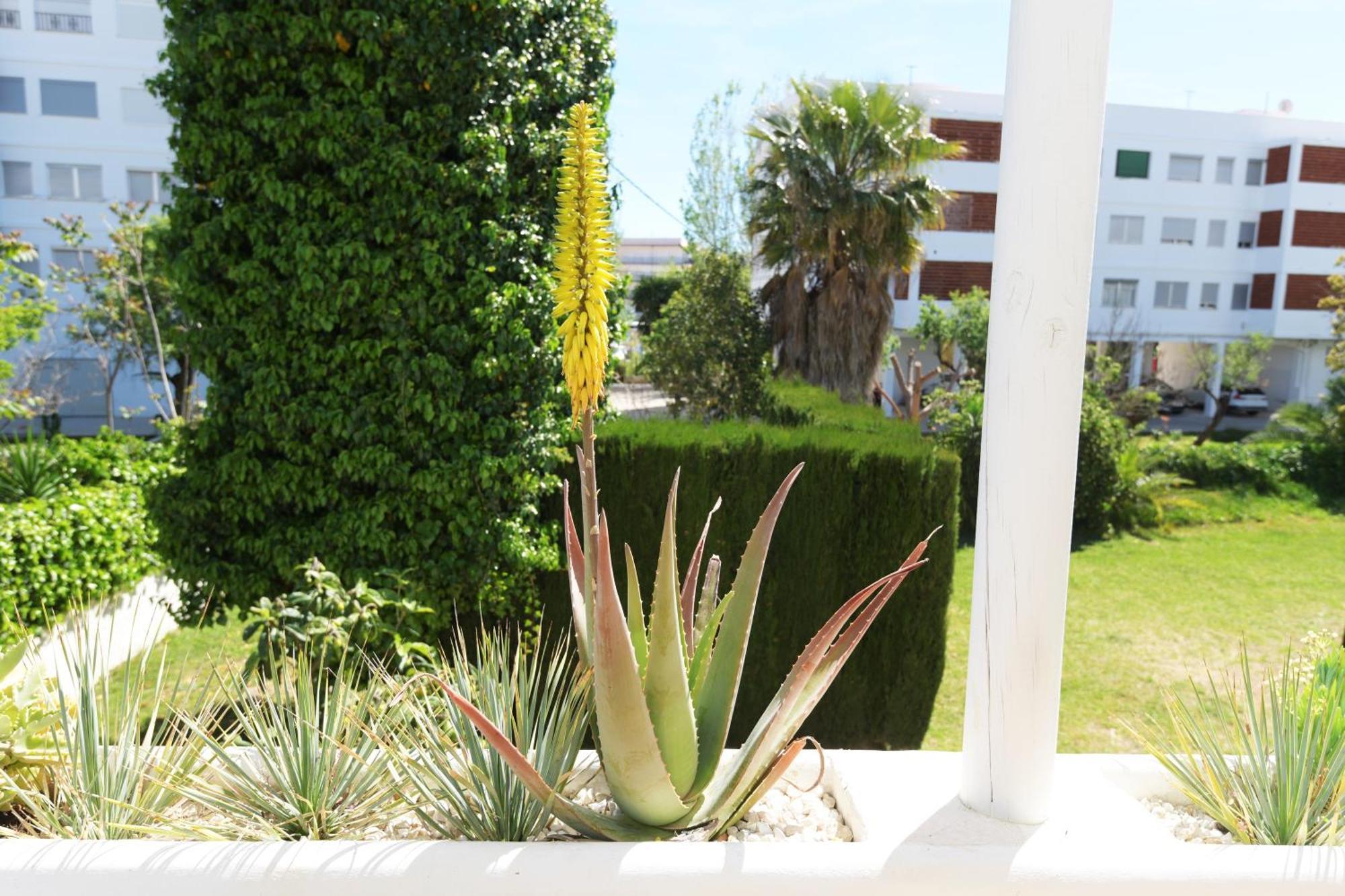 Stories Javea - Cosy Boho Apartment El Arenal - Toplocation - 250M From The Beach! エクステリア 写真